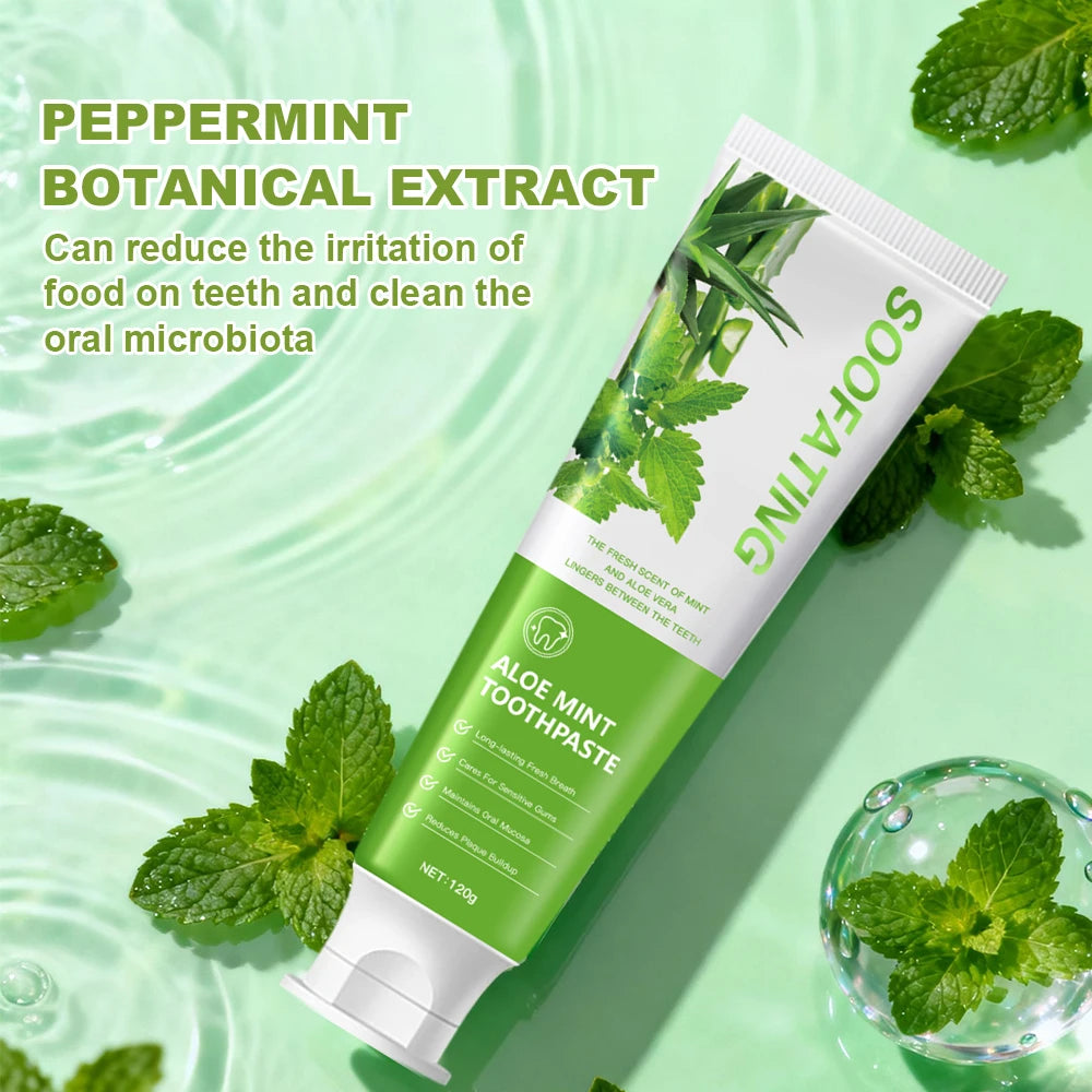 Aloe Vera Mint Organic Toothpaste for Fresh Breath Yellowing Teeth Whitening Fluoride Free Deep Cleaning 120g Home Use Sensitive